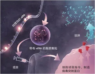 新疫苗或创生万灵药1