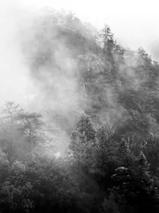 山峦之间:一场对“仙山”的关注与追逐3