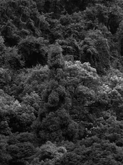 山峦之间:一场对“仙山”的关注与追逐4