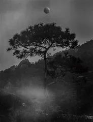 山峦之间:一场对“仙山”的关注与追逐6