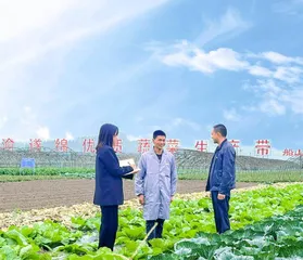 “开发区专家”熊雪的官场沉浮