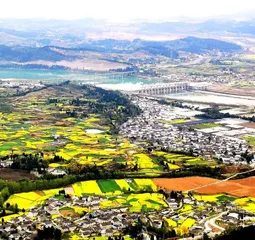 城市文明治理的执行层考验