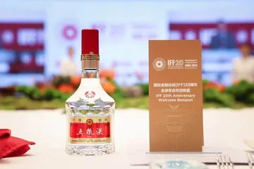 五粮液:借力国际大平台加快融入全球化发展浪潮1