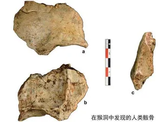 古洞揭示人类祖先奥秘1