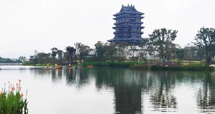 绿水精灵:桃花水母1
