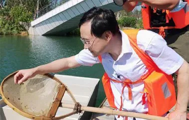 绿水精灵:桃花水母2