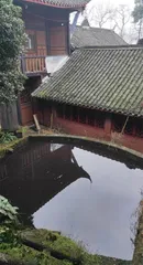 绿水精灵:桃花水母4