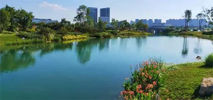 绿水精灵:桃花水母5