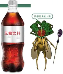 代糖也不能放开吃5