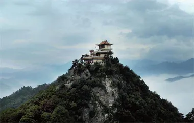 川金丝猴的小社会5
