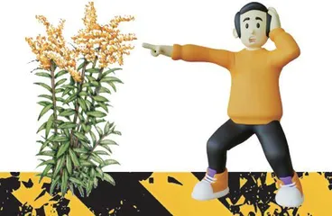 谁在悄悄潜入我们的家园?1