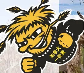 谁在悄悄潜入我们的家园?2