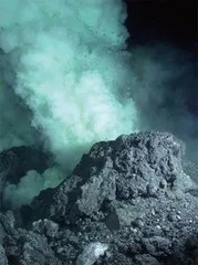 火山爆发 鱼儿遭殃2
