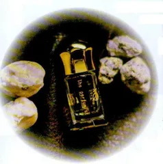 龙涎香简史8