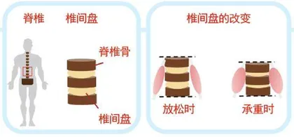 早晚有身高差？