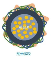 口服胰岛素曙光初现6