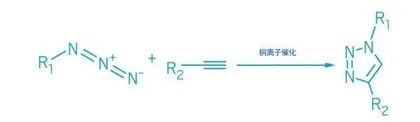 点击化学:科学家的“系扣”游戏2