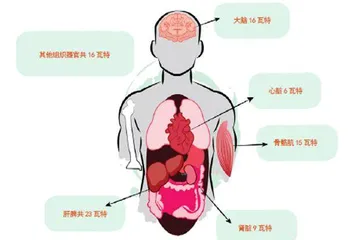 向人体借点能量3
