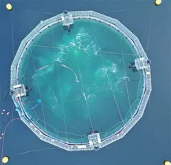 向远海要风能5