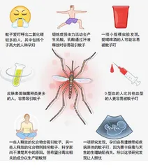 为什么蚊子爱叮某些人?2