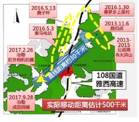 速写:放归野外的大熊猫1