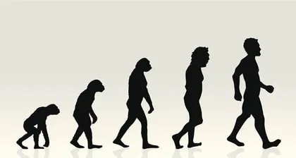 探索古人类基因9