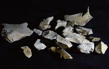 人类多久前开始使用火?3