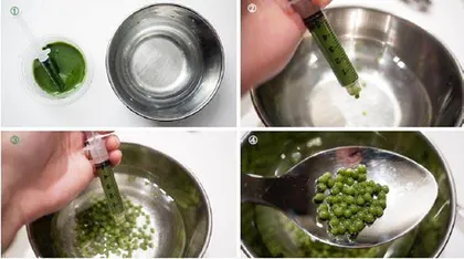 “分子料理”背后的科学 3