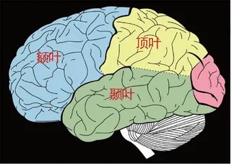 触觉研究将改变我们的生活2