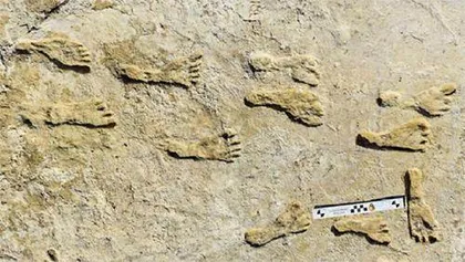 人类在2.3万年前就已踏上北美大陆