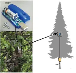 给树木佩戴加速计来估测截雪量