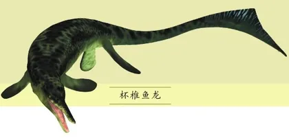 动物中的“龙”(上)1