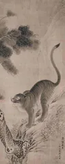 山林之王与笼中困兽——老虎旅行记3