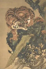 山林之王与笼中困兽——老虎旅行记4