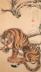 山林之王与笼中困兽——老虎旅行记5
