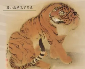 山林之王与笼中困兽——老虎旅行记6