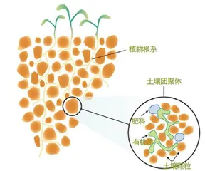 土壤知多少3