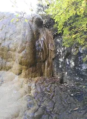 气候变暖致钙华出现退化迹象2