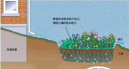 土壤知多少6