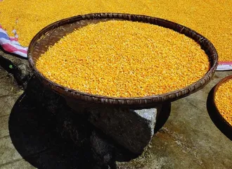 填仓节:举香祭仓神,喜看粮满仓3