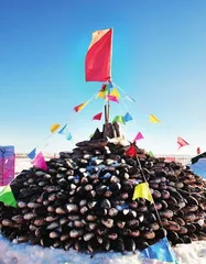 到东北,过大年5