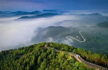 在龙泉山守望猛禽2