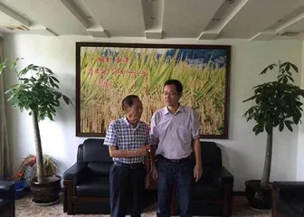 盐碱地上的奇迹:“海水稻”3