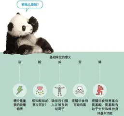 为什么很多人会迷恋酸味?4