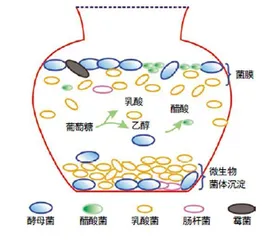 解读泡菜中的“谣盐”1