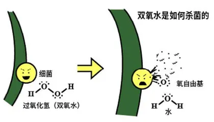 水滴自发产生双氧水