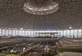 7000年前中国驯化鹅1