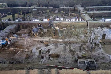7000年前中国驯化鹅2
