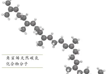角鲨烯与鲨的深潜之道