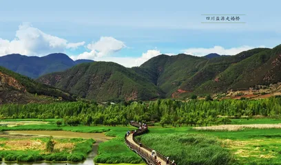 国宝小档案——蛇蛙铜俎3